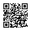 飞机中文版app